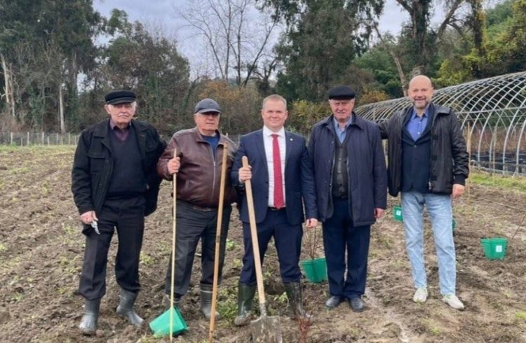 Первую в мире жимолость в субтропической зоне посадили в Абхазии во время закладки «Мичуринского сада»