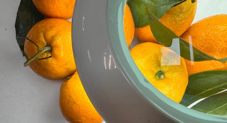 Экзотический и опасный вредитель отправился в новогодний вояж в Омск - фото