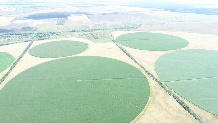 АПК — это про IT, технику и результат: как технологии привлекают в отрасль молодые кадры - фото