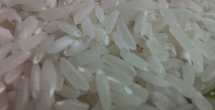 Экспорт российского риса вновь набирает обороты - фото