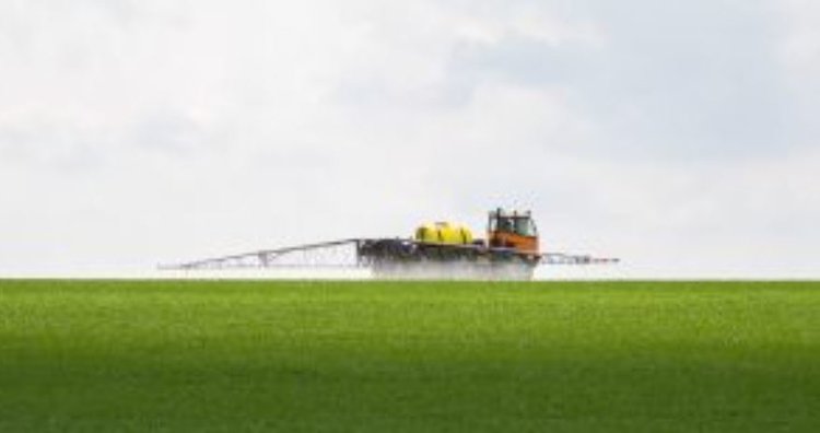 Во ФГИС «Сатурн» к концу декабря 2025 зарегистрировались свыше 97,9 тысяч хозяйствующих субъектов