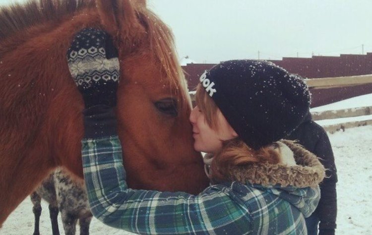 10 интересных фактах о лошадях – новогодний дайджест