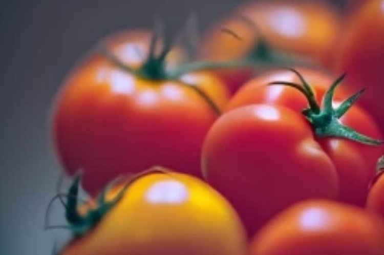 Белгородская область в 2025 году закрепила статус одного из лидеров органического производства в России - фото