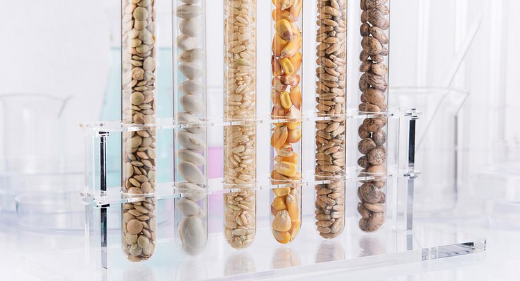 В Татарстане в лаборатории ЦОК АПК в 2025 году увеличился объем исследований зерна и зерновой продукции