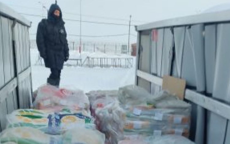 Транзитную партию семян турецкого подсолнечника в Беларусь развернули в Челябинской области - фото