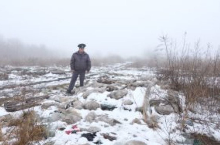 За хлам на сельхозучастке придется заплатить более 6 млн рублей - фото