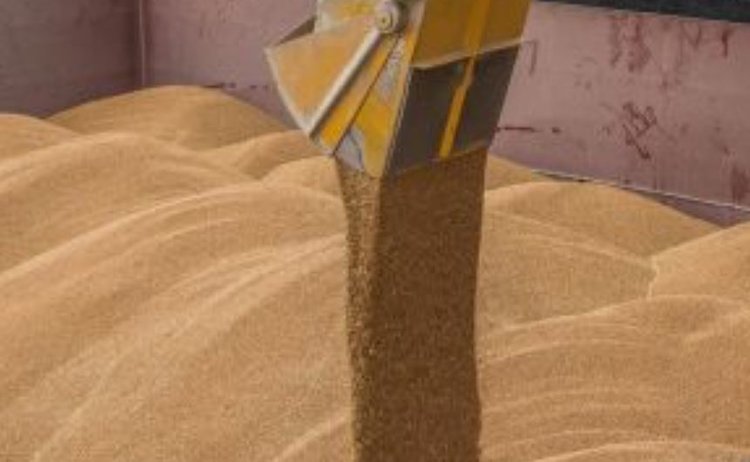 Отгружена первая в 2026 году партия омской пшеницы в Ирак 