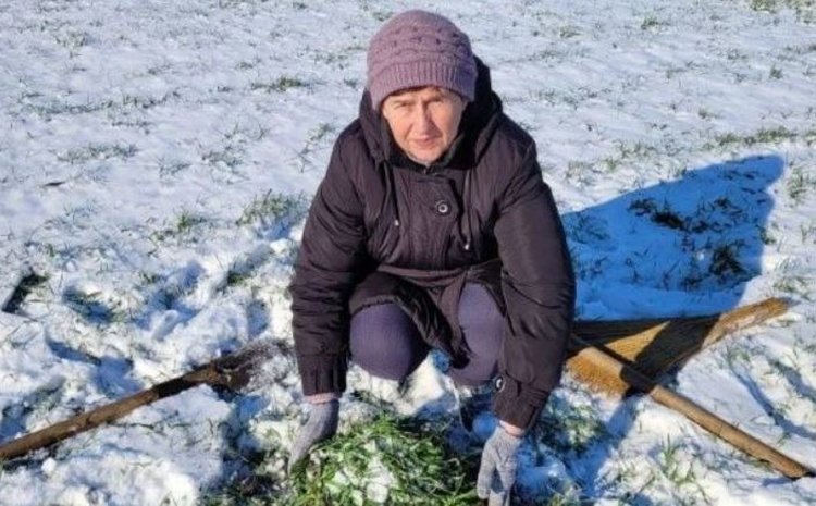 У аграриев Калмыкии есть все шансы собрать рекордный урожай зерна 2026