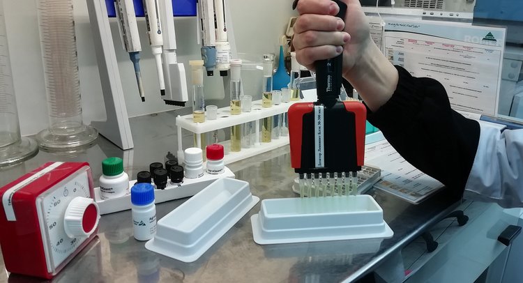 В Турцию отправлена первая в 2026 году экспортная партия волгоградского проса