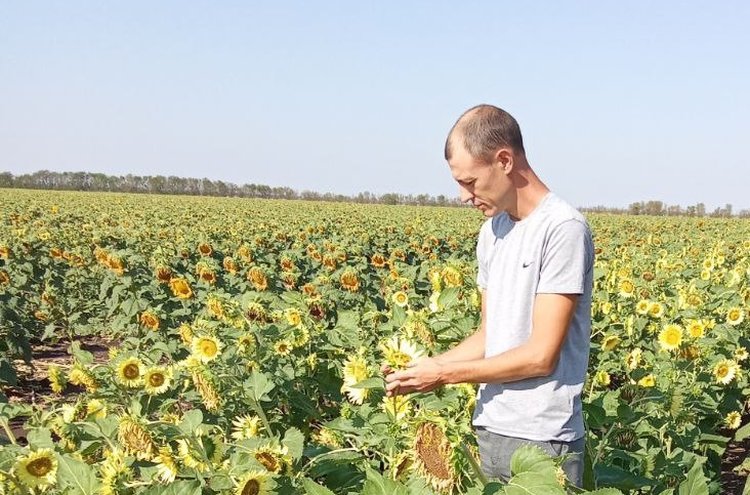 Было жарко: фитосанитарные итоги 2025 Херсонской области подвели в филиале Россельхозцентра