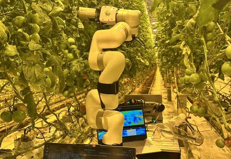 Робота агронома-фитопатолога для теплиц создали в СтГАУ