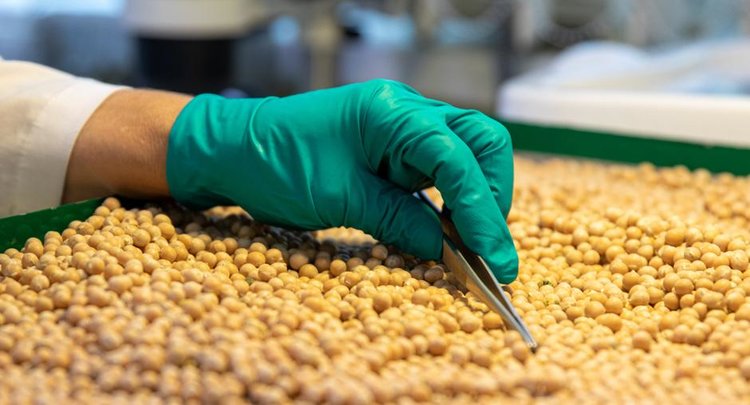 14 грузовиков волгоградского нута отправили в Афганистан