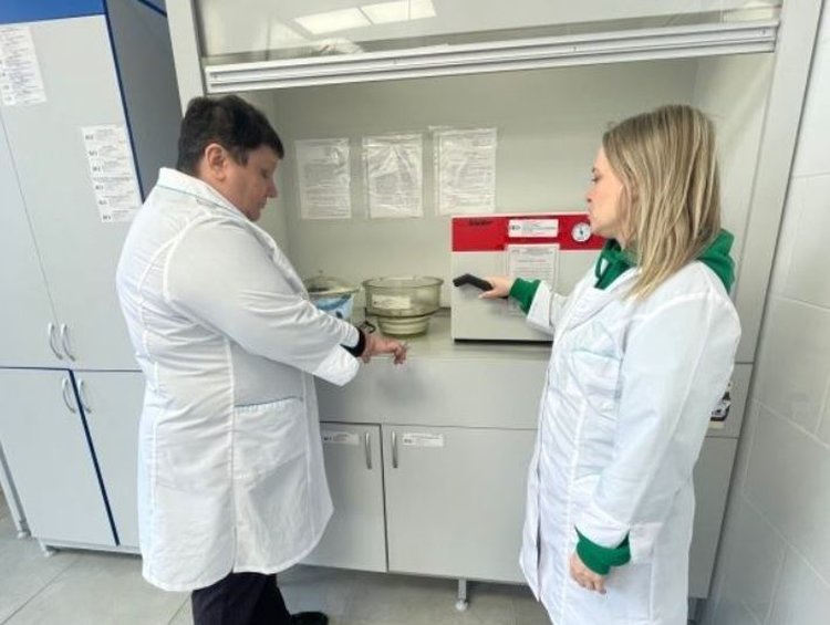 Как именно определяют влажность семян в лаборатории: интересные нюансы процедуры