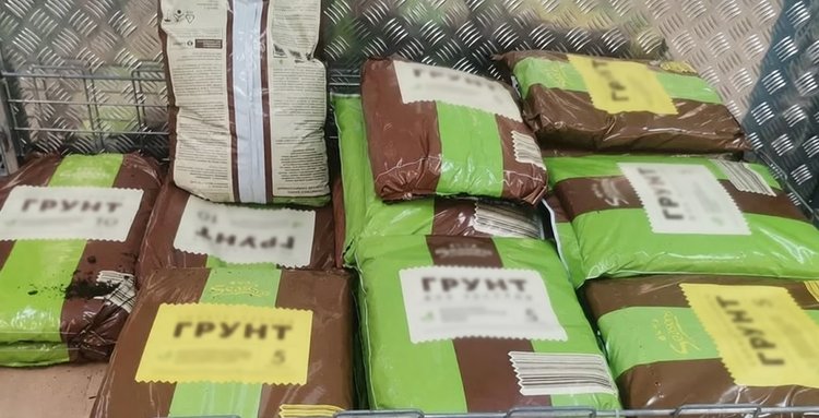 Кислотность грунта для рассады: как измерить лакмусовой бумажкой и лимоном и почему это важно?