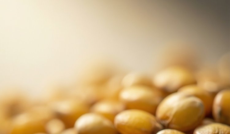 В Саратовской области реконструировали крупяной завод по переработке проса