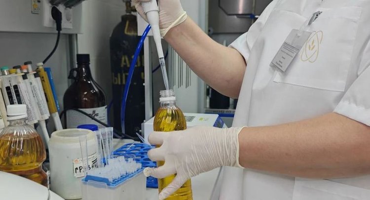 Через порты Краснодарского края в 7 раз увеличились отгрузки подсолнечного масла в Иран в прошлом году