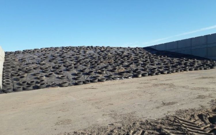 Хранение кукурузного силоса зимой: советы экспертов