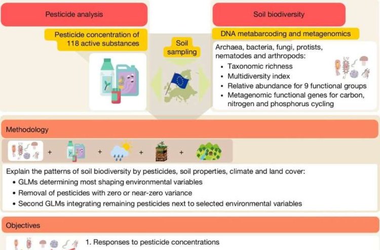 Как агрохимические пестициды влияют на здоровье европейских почв - фото