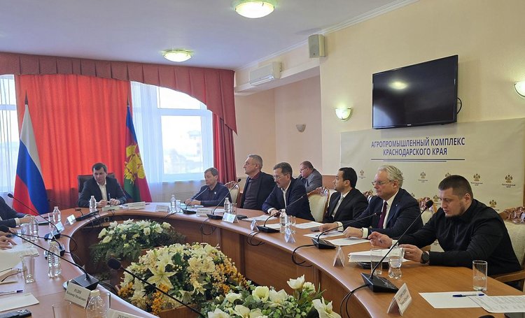 России нужен собственный торговый стандарт по яблокам для развития садоводства - фото