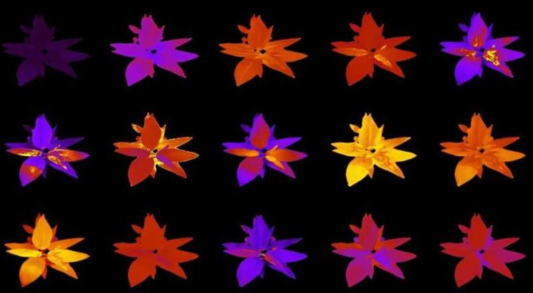 Расширение возможностей базовой модели ИИ для ускорения исследований в области растениеводства - фото