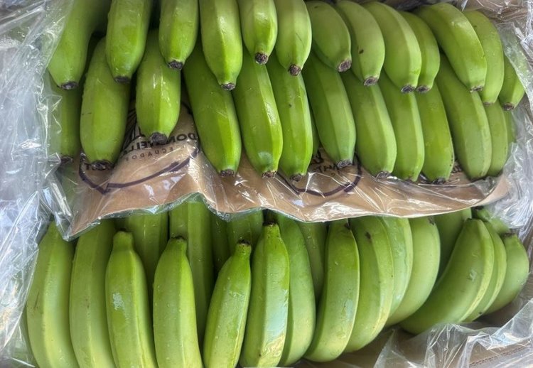 Уже свыше 230 тыс т зараженных фруктов заблокировано в морском порту Санкт-Петербурга - фото