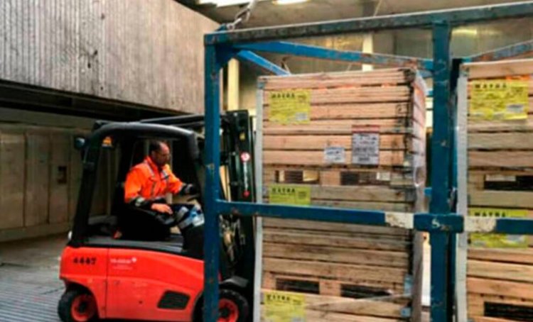 Волна недовольства испанских фермеров апельсинами из Египта в ЕС связана с пестицидами - фото