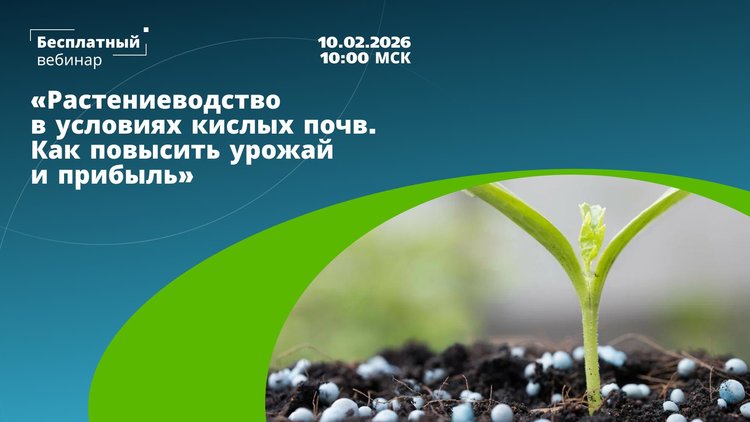 Закисление почв – большая проблема в растениеводстве - фото