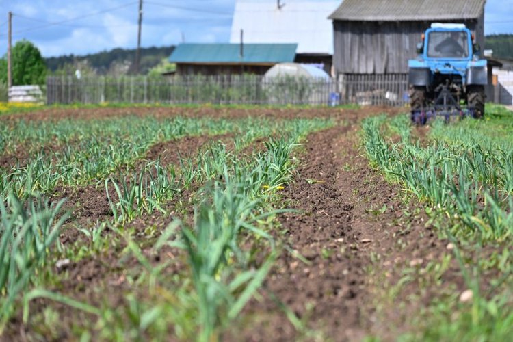 Пермский край вошел в десятку органических лидеров России в рейтинге Роскачества