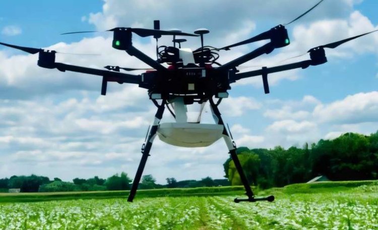 Беспроводной датчик «умный гвоздь» оценивает состояние подпочвы для снижения затрат на агрохимию