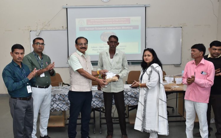 Индия может значительно увеличить урожай пшеницы с новыми сортами