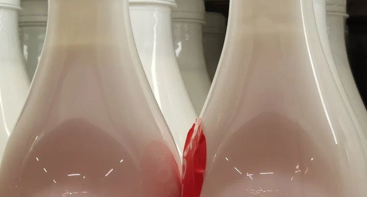 Контроль молочного рынка России: каждая корова должна быть на счету - фото