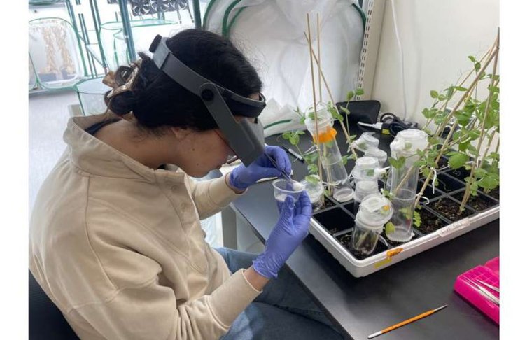 Защита почвенного микробиома: полезные практики - фото