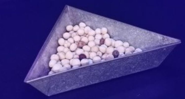 Пелюшка в семенах гороха: анализ и значение - фото