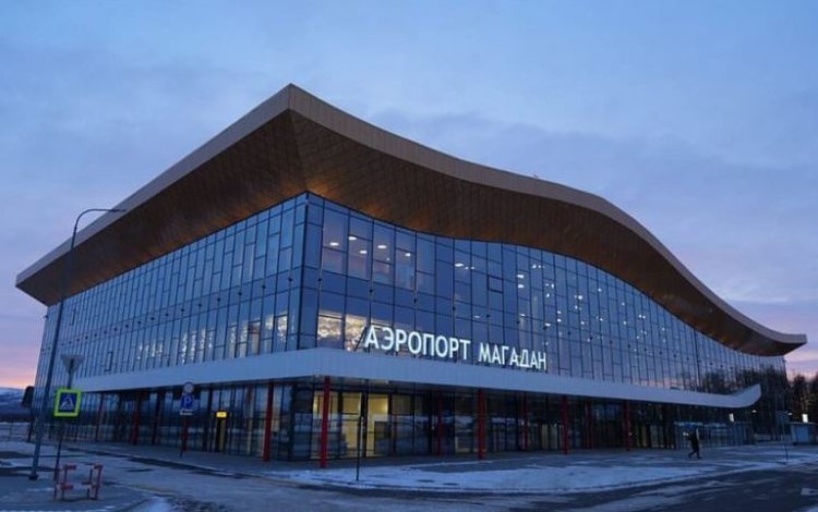 Импортные шмели для опыления тепличных культур Магаданской области и хищные клещи прошли проверку - фото