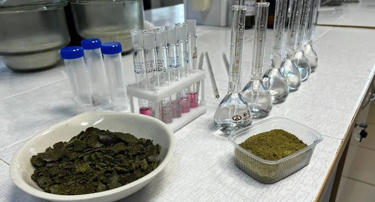 Угадаете, сколько исследований надо пройти партии рапсового жмыха для поставки в Китай?