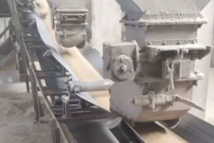 Как проводится отбор проб семян по новому ГОСТу - фото