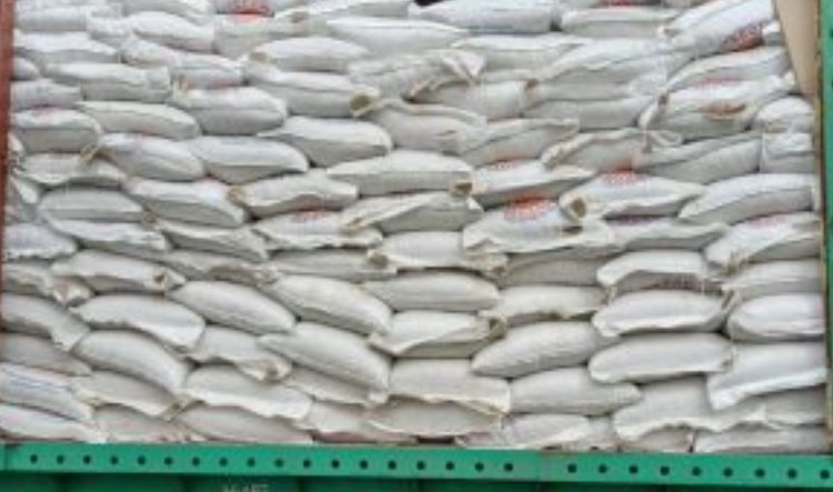 Закупки российского торфа нарастили Китай и Япония - фото