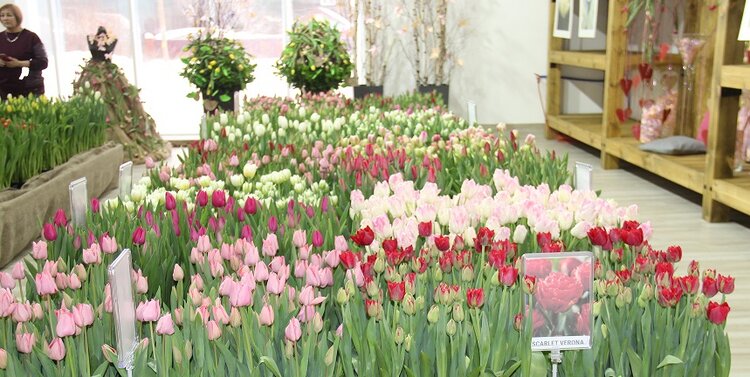 Необычный формат продажи цветов на выставке запустил томский агрокомплекс «Трубачево»
