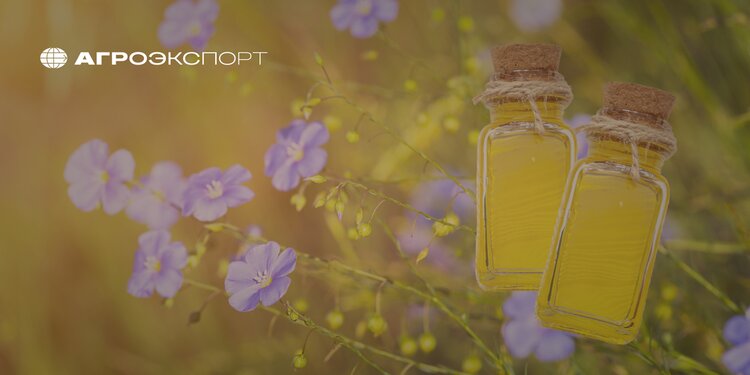 Россия кратно увеличит экспорт льняного масла - фото