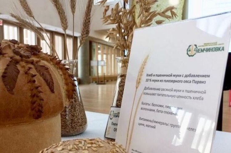 Яровая пшеница была в фокусе конференции «Селекция как бизнес» - фото