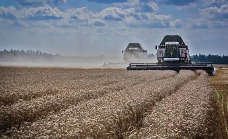 Минсельхоз ДНР усиливает поддержку аграриев и продолжает возрождение сортосеменных участков