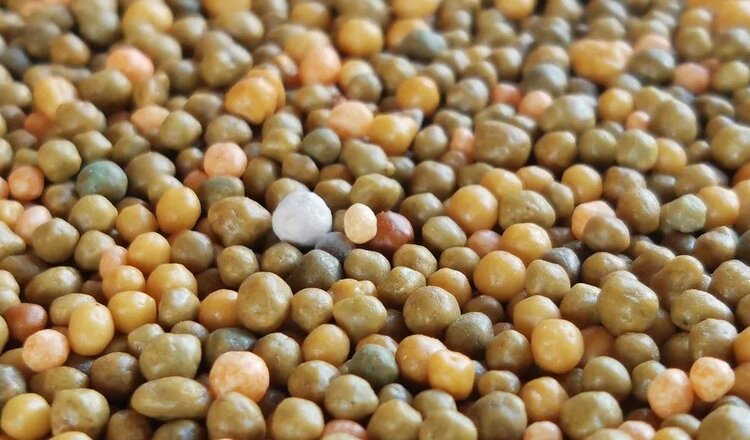 ЕС ужесточает ограничения на российские удобрения: грабли ударят больно - фото