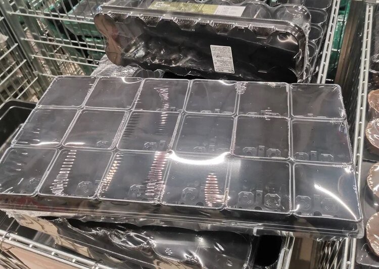 Посев рассады томатов в кассеты – все подробности процесса - фото