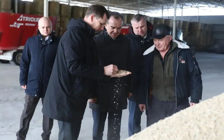 Кубанский мясной кооператив по животноводству полностью обеспечивает себя кормами - фото