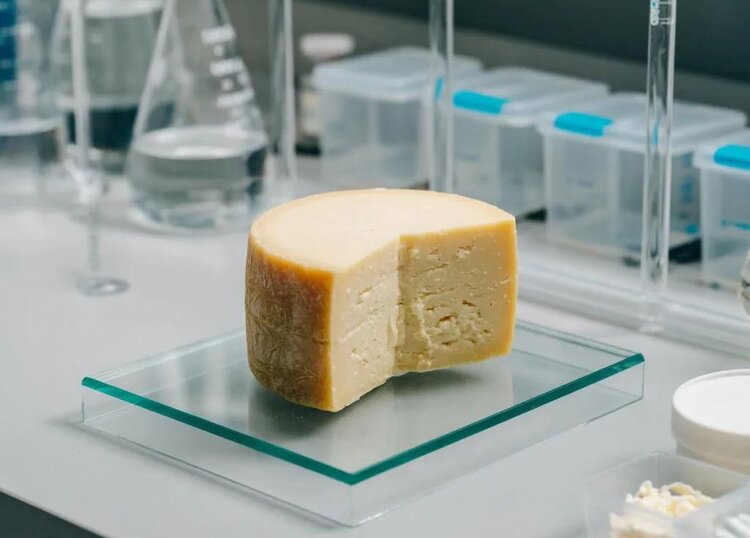 Зачем натамицин добавляют в сыр и безопасен ли он для здоровья?