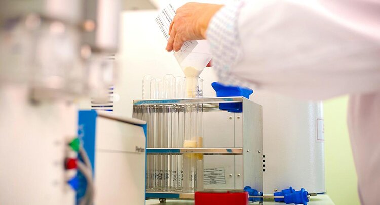 Алтайские аграрии впервые поставили 2 тысячи тонн пшеничной муки в Гонконг