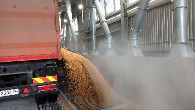 Волгоградская область расширяет мощности по хранению зерна - фото