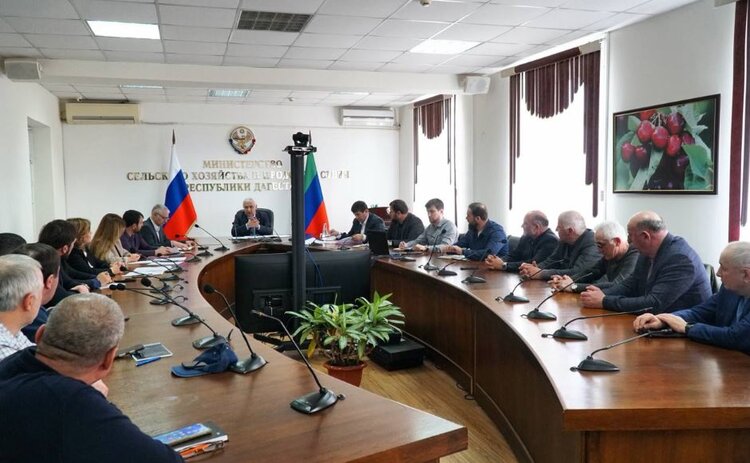 Племхозам Дагестана откроются рынки Ирана, Турции и ЕС благодаря точным генетическим данным - фото