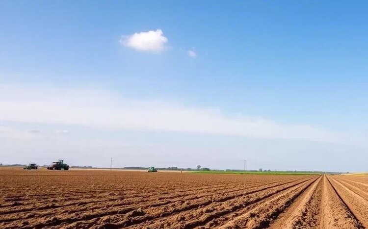 Российская компания входит в глобальный список лидеров по разработкам аграрных технологий с ИИ - фото