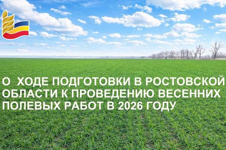 99% озимых на Дону чувствуют себя хорошо, а впереди - яровой сев на 1,9 млн га - фото